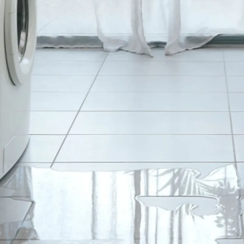 Appliance Leak Cleanup in Home Garden, CA