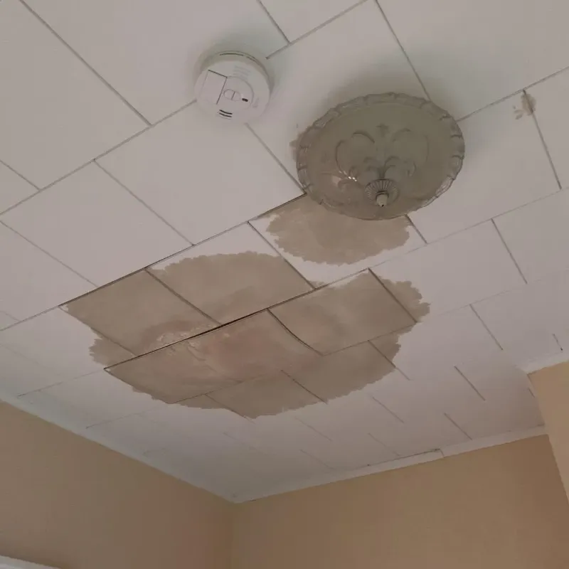 Ceiling Water Damage Repair in Home Garden, CA