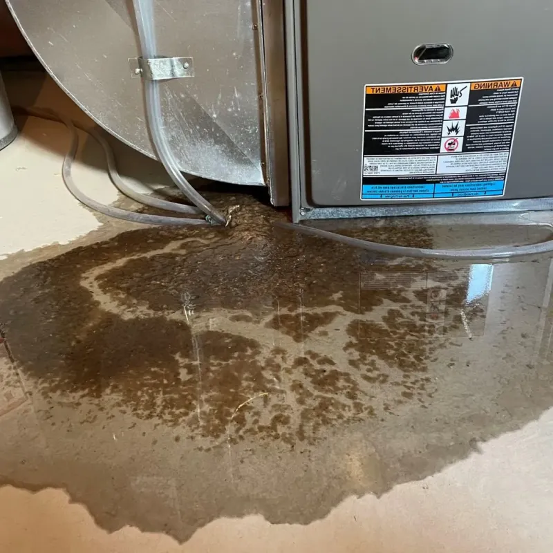 Pipe Burst and Leak Restoration in Home Garden, CA
